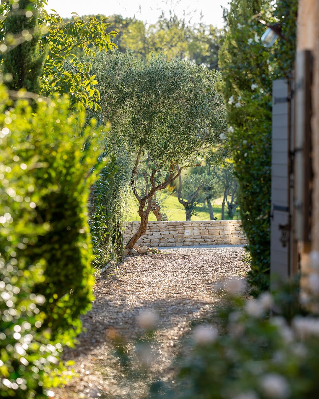 Les oliviers du Domaine d'Égenia, hébergement et privatisation de luxe en Provence, Luberon, sur six hectares de nature préservée