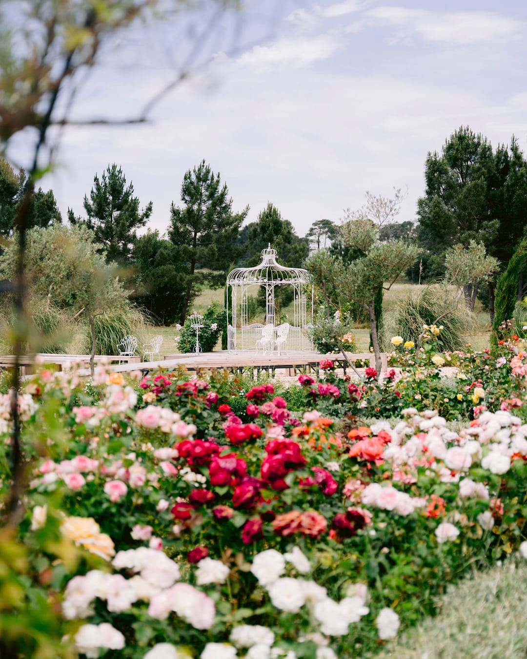 La roseraie du Domaine d'Égenia, hébergement de luxe en Provence, Luberon