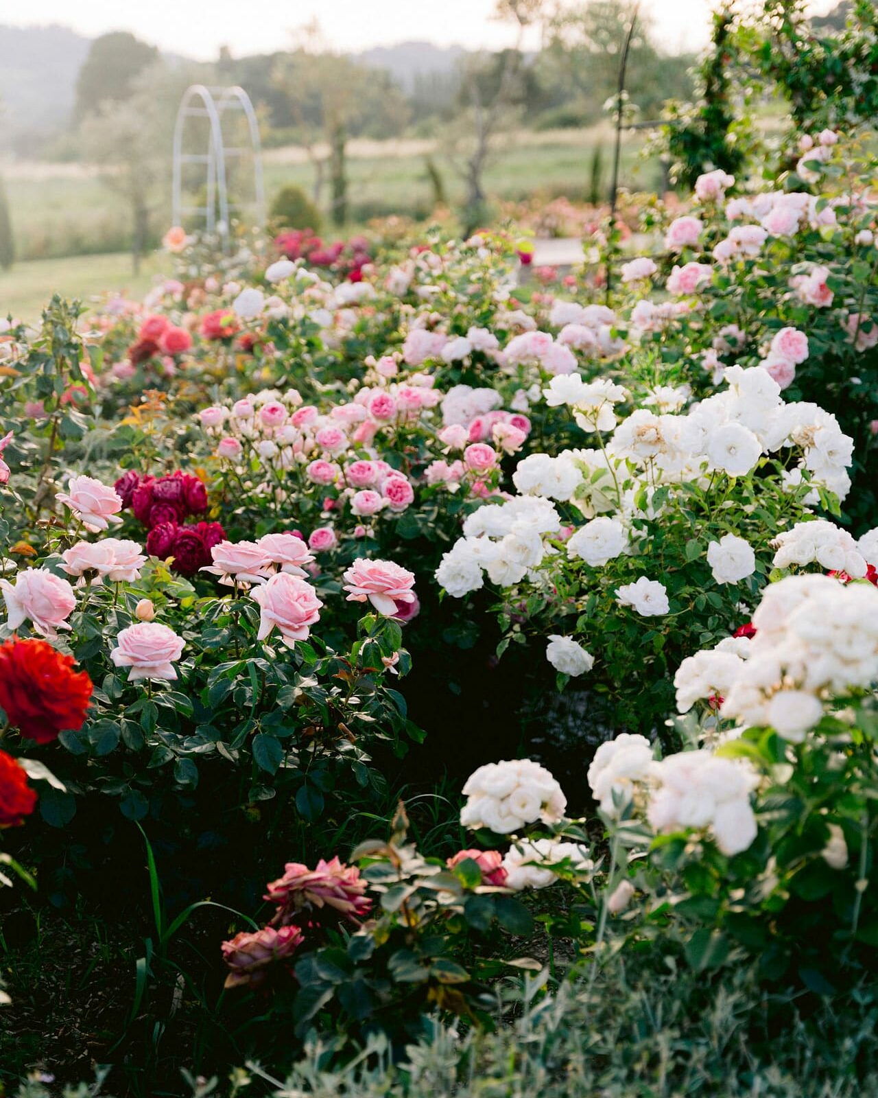 Créations florales sur mesure avec Les Fleurs d'Egenia, au Domaine d'Égenia, hébergement de luxe en Provence, Luberon